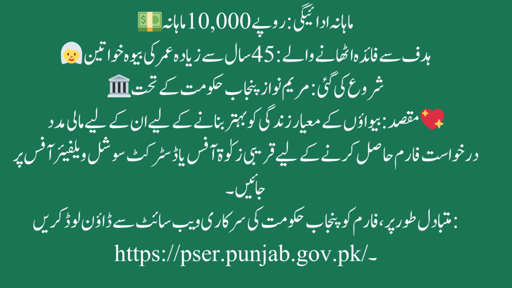 How to Apply for the CM Punjab Bewa Sahara Card Online? 📝