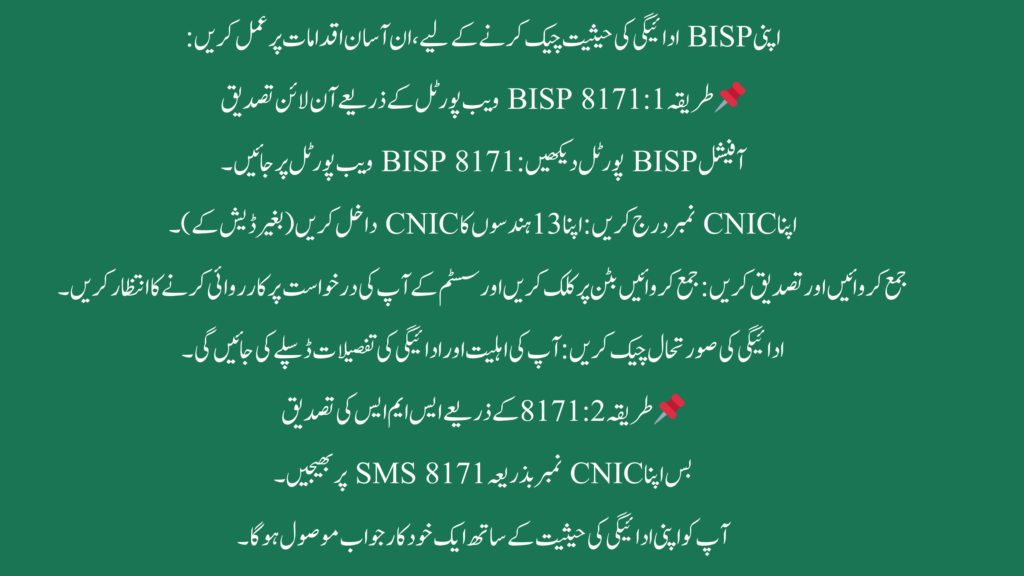 π BISP 8171 Payment Verification Process