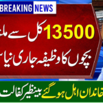 BISP 8171 Payment Verification Process Through Digital Wallet