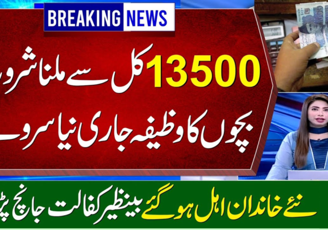 BISP 8171 Payment Verification Process Through Digital Wallet