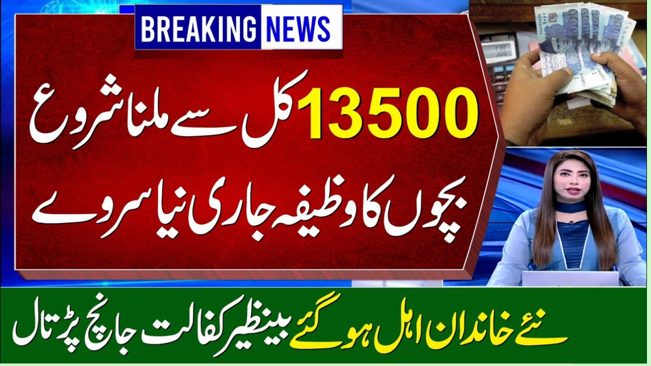 BISP 8171 Payment Verification Process Through Digital Wallet