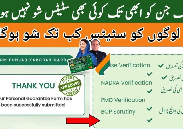How To Check Asaan Karobar Card Application Status?