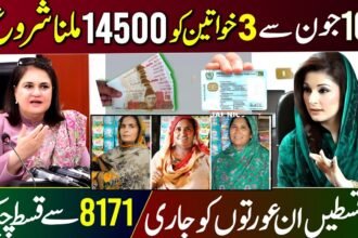List of 17 Districts Included in 8171 BISP 13500 Payment